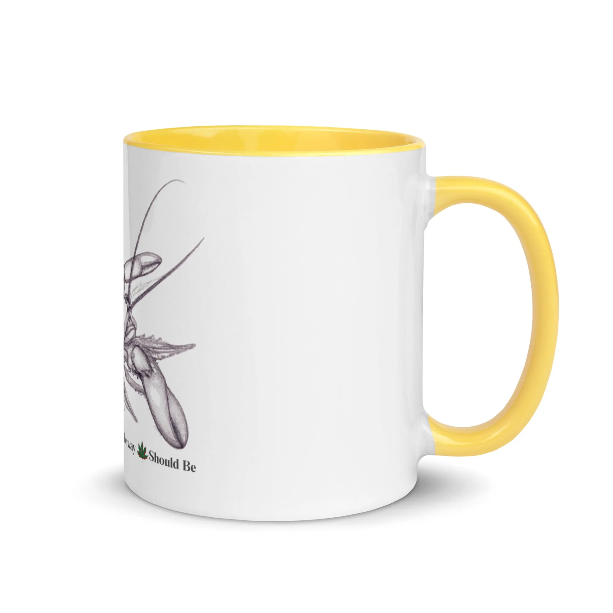 Mug with Color Inside