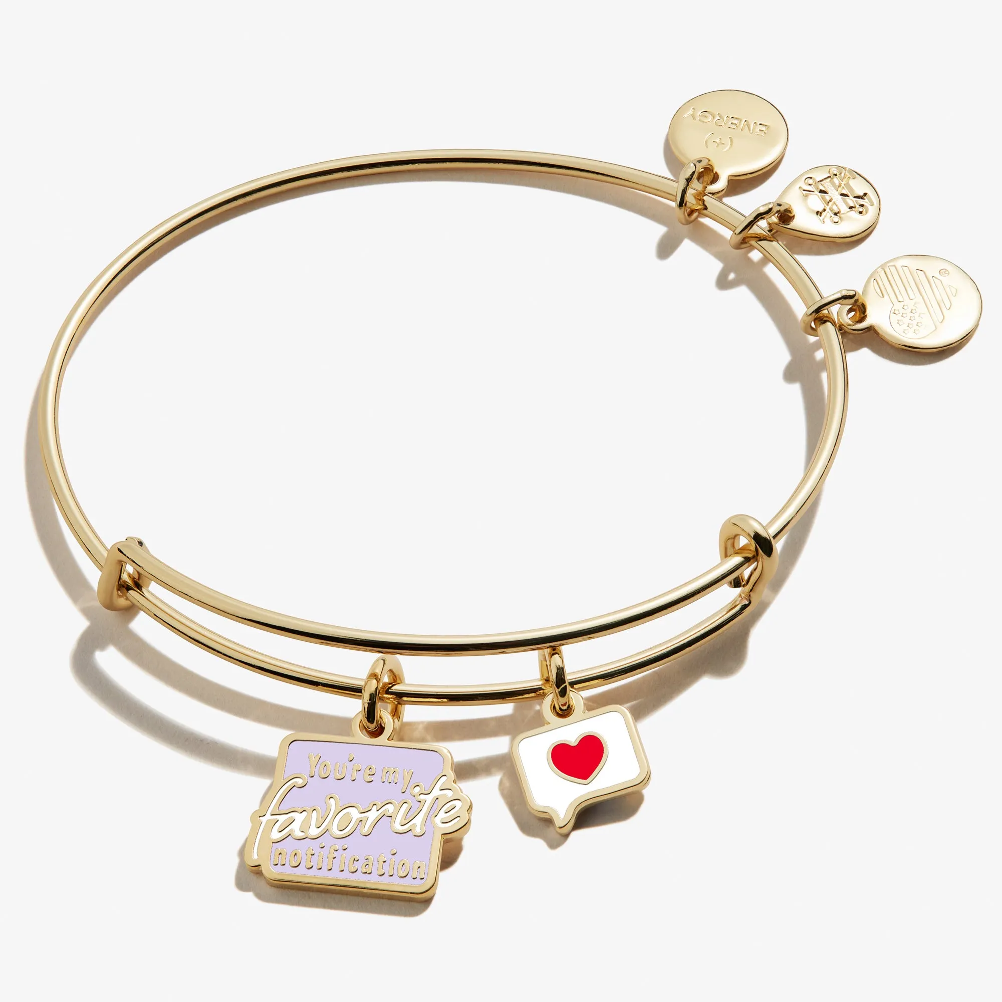 'You're My Favorite Notification' Duo Charm Bangle Bracelet